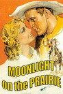 Moonlight on the Prairie